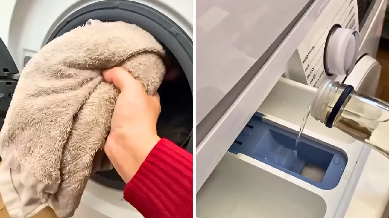 Immagine selezionata